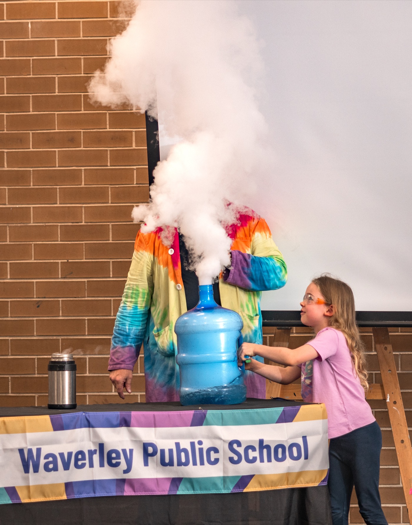 STEMFEST photo